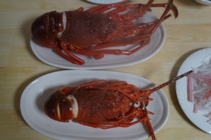 三重（英虞湾）