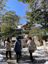 2022年2月11日長浜盆梅展へ