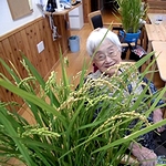 みんなの家便りより