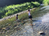 夏休みのお知らせ