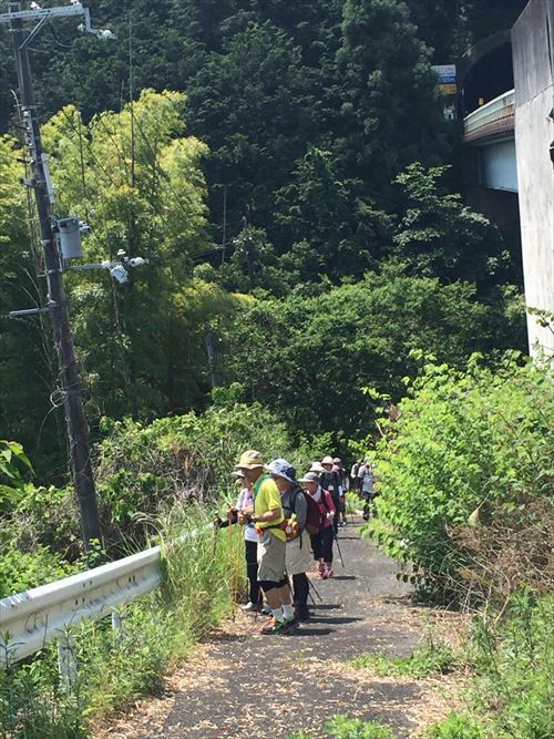 熊本地震復興支援「祈りのチャリティーノルディックウォーキング」