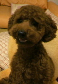 号外！MATSU！！