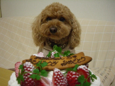 Ｈａｐｐｙ　Ｂｉｒｔｈｄａｙ　ケーキ