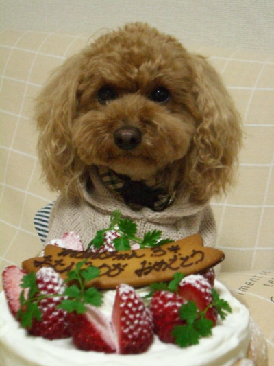Ｈａｐｐｙ　Ｂｉｒｔｈｄａｙ　ケーキ