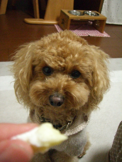 Ｈａｐｐｙ　Ｂｉｒｔｈｄａｙ　ケーキ