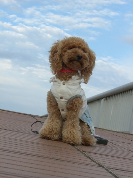 空とｍｏｍｏ