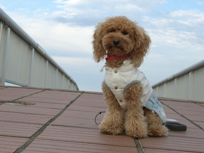 空とｍｏｍｏ
