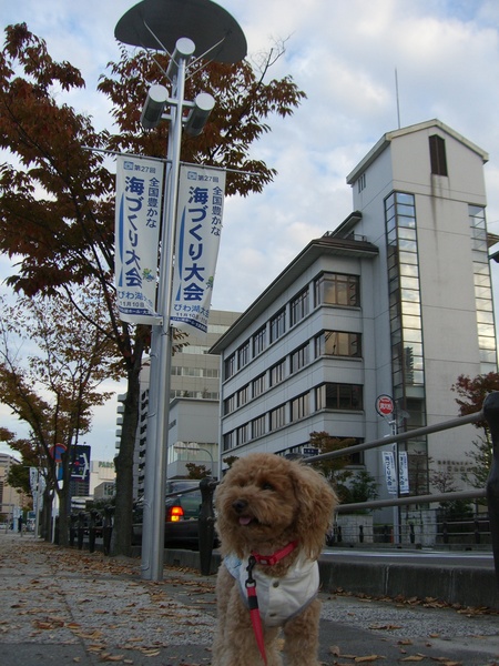 海づくりｉｎＢｉｗａｋｏ