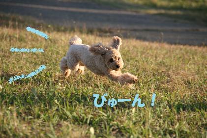 飛びます！　飛びます！