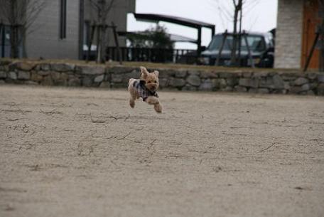 飛びます　飛びす