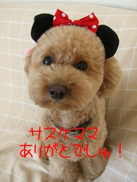 ミニーマウス　？？？