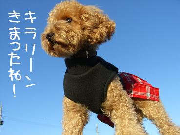 かっこいい～！！