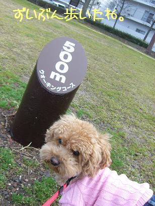 なぎさ公園　②