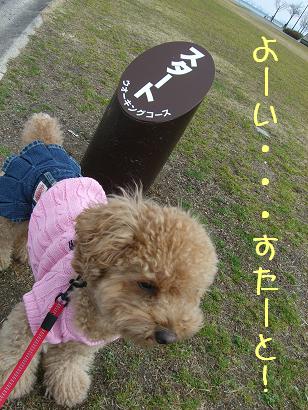 なぎさ公園　②