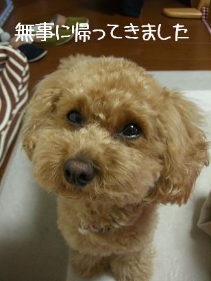 ☆手術成功☆