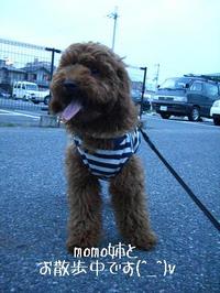 号外！MATSU!!