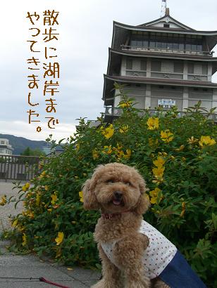 びわ湖岸公園