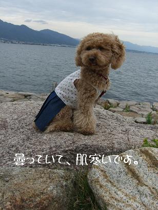 びわ湖岸公園