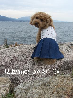 びわ湖岸公園