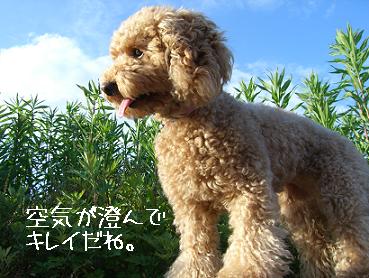 青い空