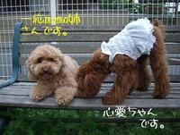 号外！MATSU!!