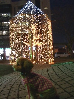堅田駅前イルミネーション