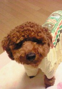 お姉キャラ(・・?)