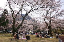 「森のbe-cafe」オープンイベントに参加