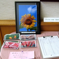 夏の思い出 野崎藤滋写真展