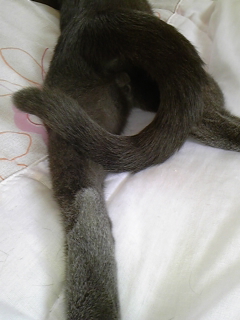 全部帳消しにする寝顔とは・・・