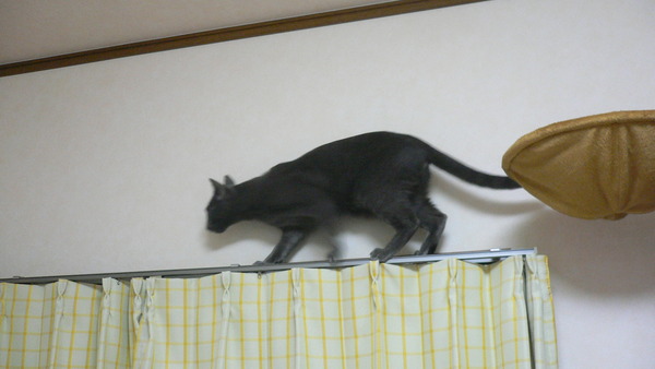 良い位置なのか悪い位置なのか