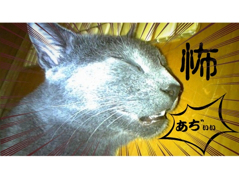 二階はもう酷暑？！