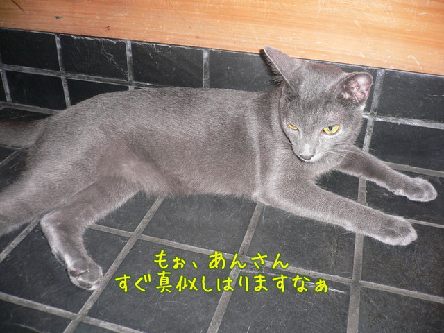 腹を冷やせ！