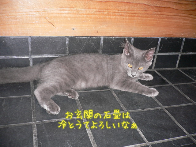 腹を冷やせ！