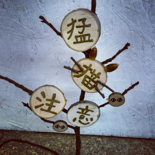 猛猫注意！！