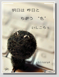 またまた “ いしころぅ ”...