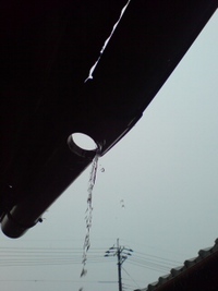 初ブログは雨ふり。