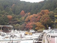 沖島の晩秋