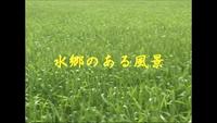 2010年02月19日
