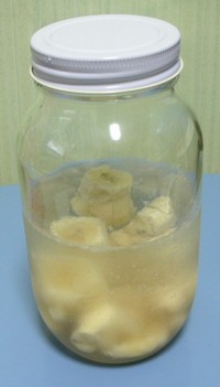 バナナ酵母