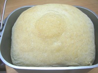 天然酵母で全粒粉食パン