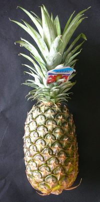 パイナップル