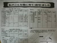 県内産こだわり野菜BOX（隔週）