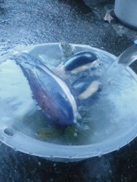 ■辛い気持ちはやがて魅力に変わる