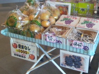 おススメ商品