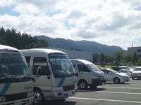 大きなトンボ