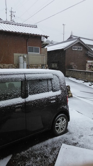 初積雪。