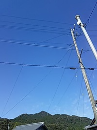 文化の日。