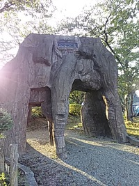 小浜市へ。