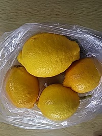 収穫。